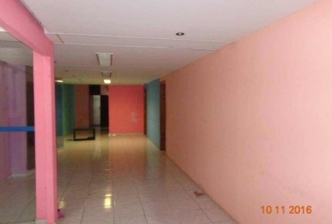area-interna6