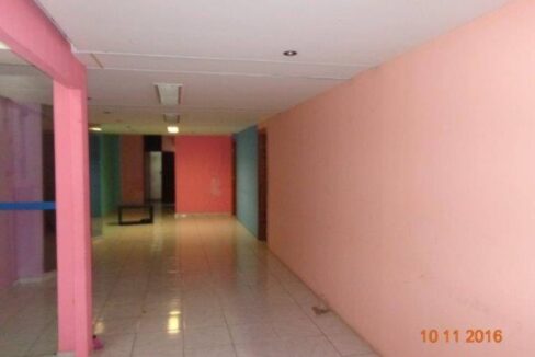 area-interna6