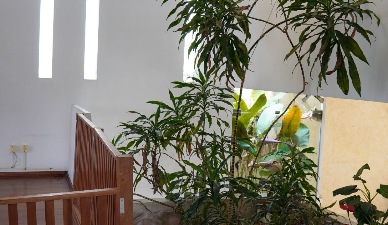 DSC00412