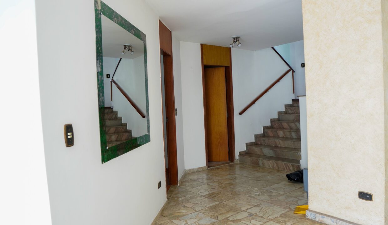 DSC00674